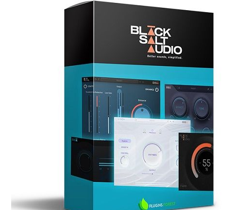 Black Salt Audio - Complete Bundle [02.2024]-琴洛音频资源网