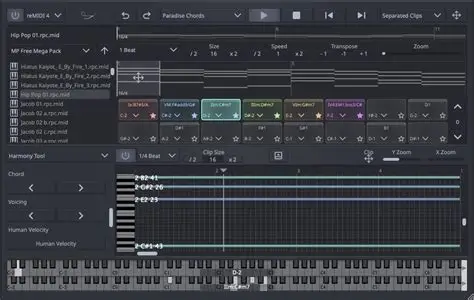SongWish.reMIDI.4.v4.5.0-TCD-琴洛音频资源网