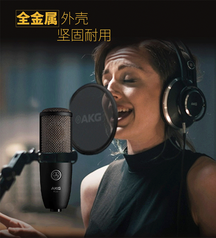 图片[4]-AKG P220电容麦克风-琴洛音频资源网