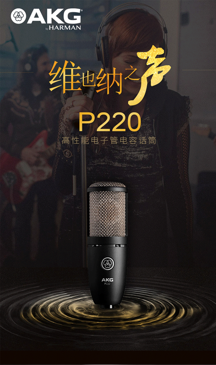 图片[1]-AKG P220电容麦克风-琴洛音频资源网